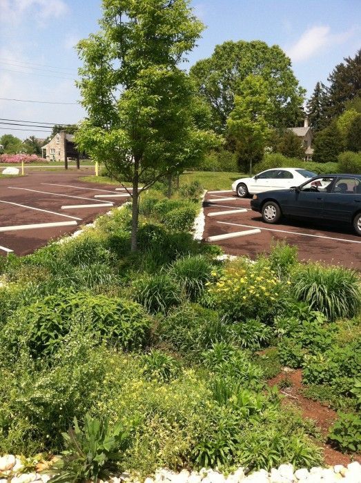 two cars parked in a parking lot next to a tree and shrubbery on the side of the road