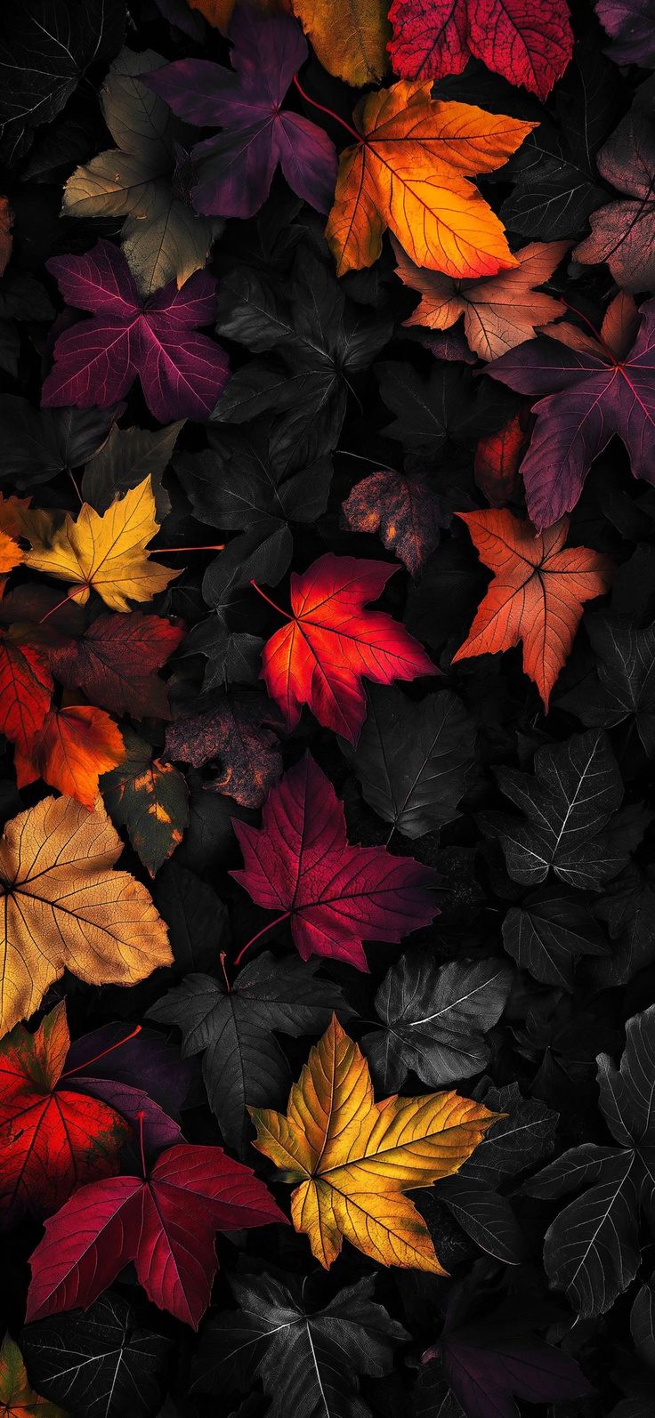 many different colored leaves on the ground