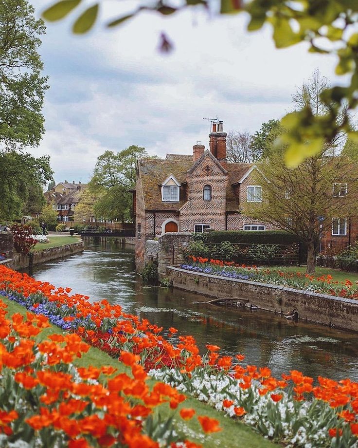 the flowers are blooming on the side of the river in front of some houses