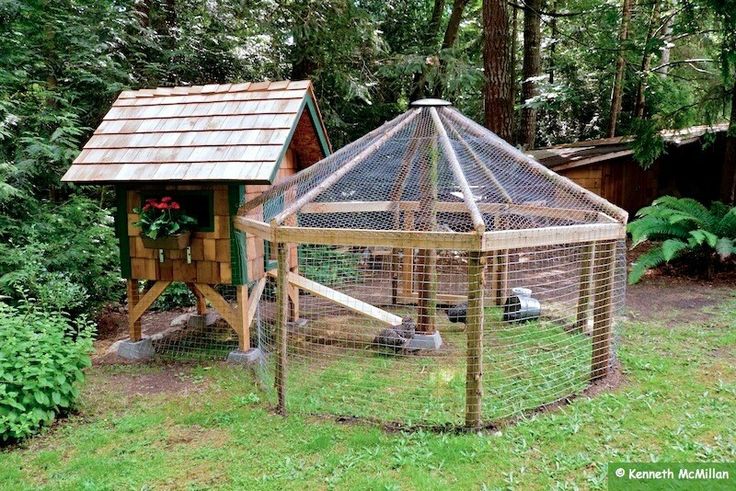 a small chicken coop in the middle of a yard with a bird house on top