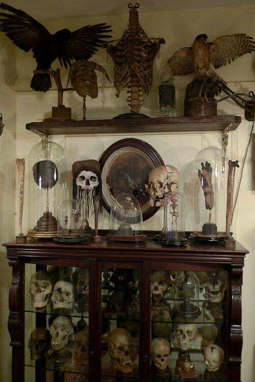 a display case filled with lots of skulls and skeleton figurines on top of wooden shelves