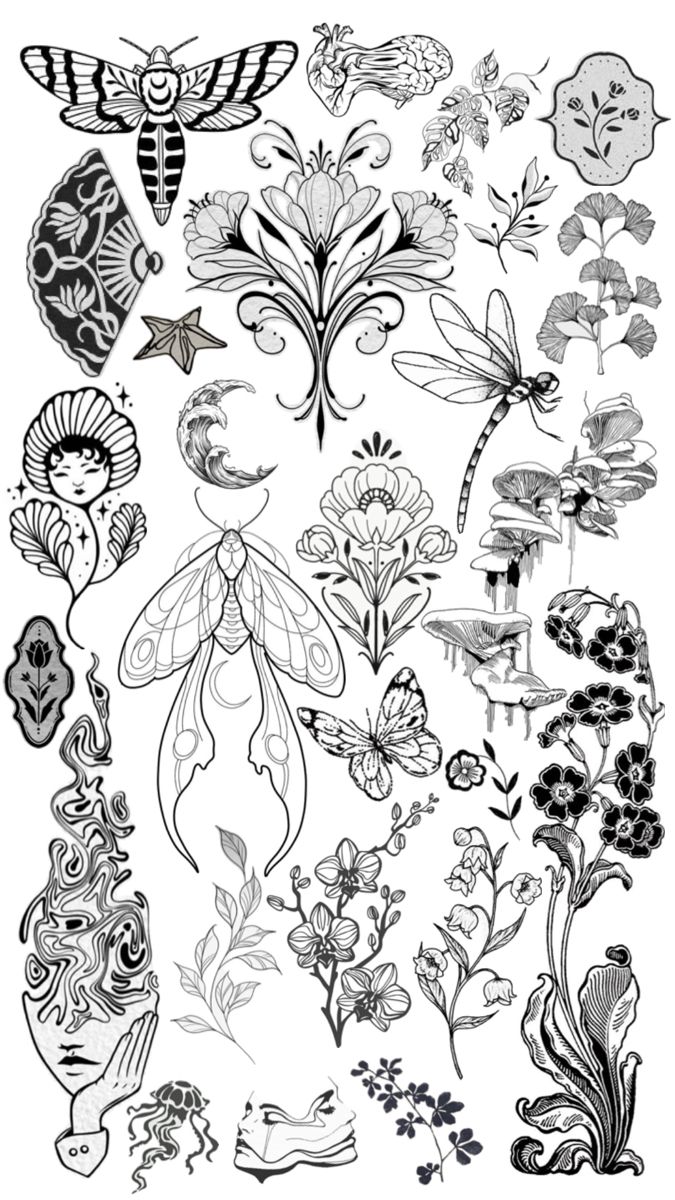 an assortment of flowers and insects in black and white, with the words butterflies on them