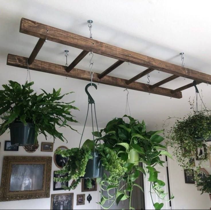 some plants hanging from a wooden beam in a living room with pictures on the wall