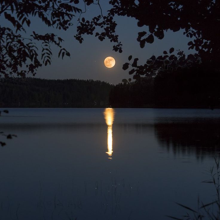 a full moon is seen over the water