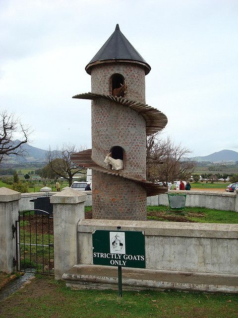 a stone tower with a cat sitting on it's side next to a sign