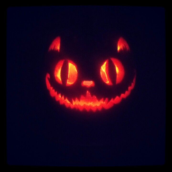 a lit up pumpkin with glowing eyes in the dark, looking like a cat's face