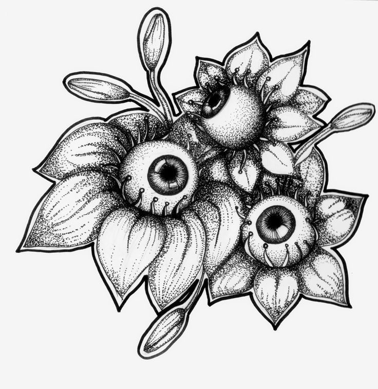 an ink drawing of some flowers on a white background, with the eyeballs visible