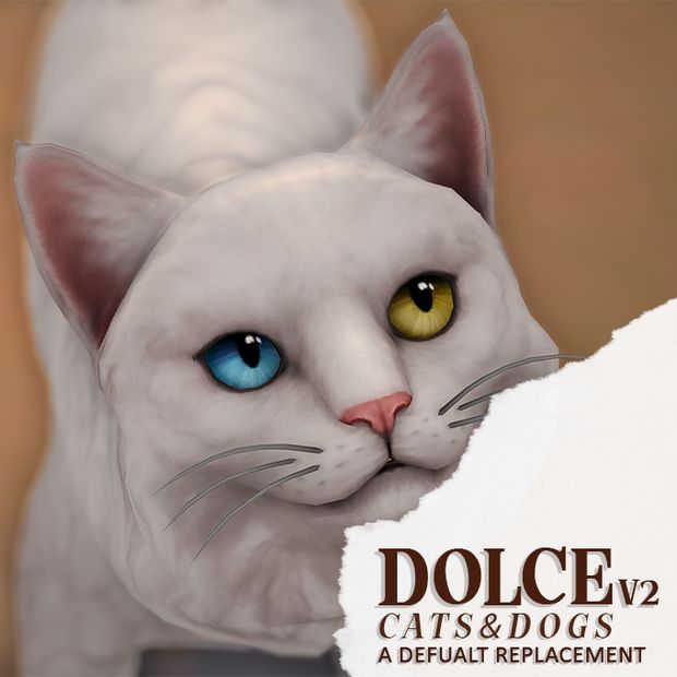 a white cat with blue and yellow eyes looks at the camera while standing in front of a torn piece of paper