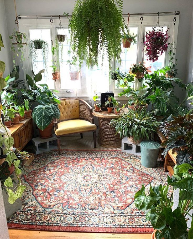 a room filled with lots of potted plants