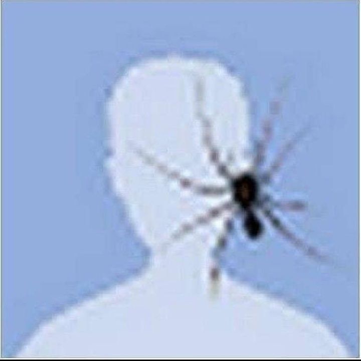 a spider is sitting on the back of a man's head