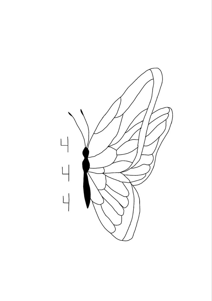 a black and white drawing of a butterfly with the word't'on it