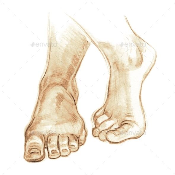 a drawing of the feet and toes of a person