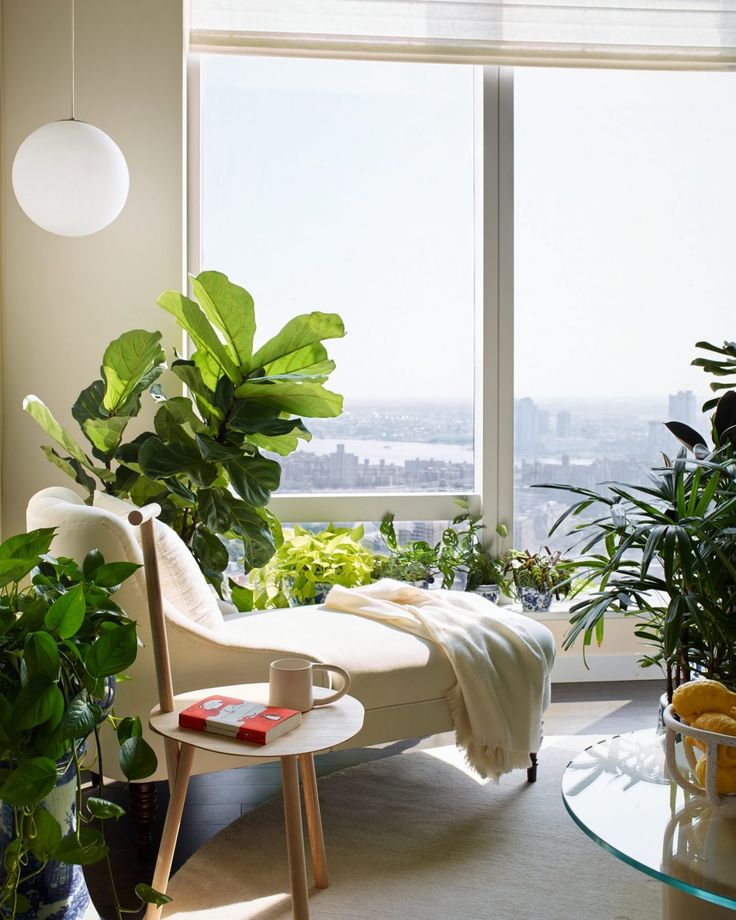 a living room filled with furniture and lots of plants in front of a large window