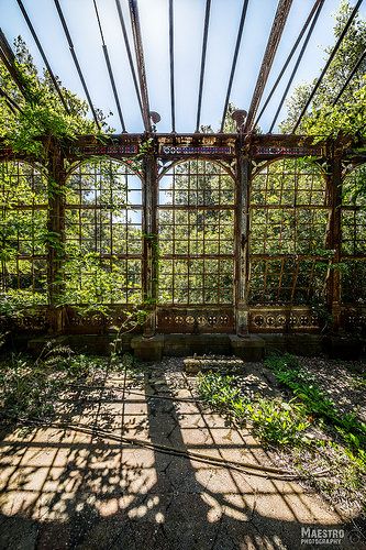 the inside of an abandoned building with lots of windows and plants growing on the walls