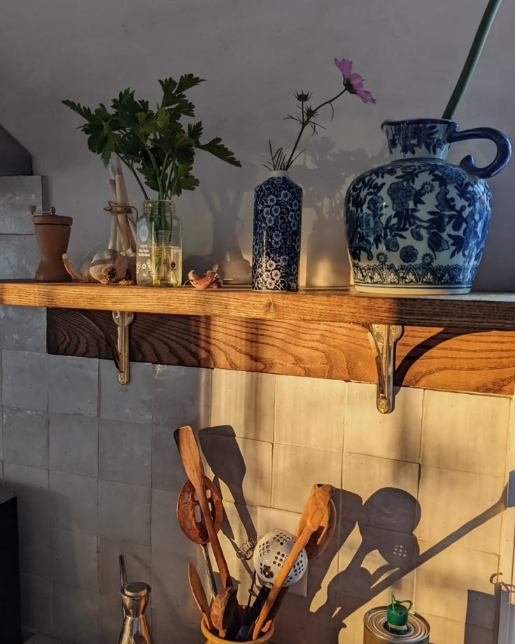 a shelf filled with pots and pans on top of a tiled wall next to a potted plant