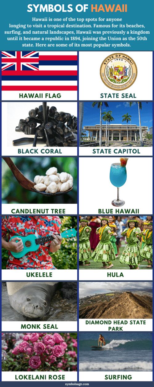 the symbols of hawaii are shown in this poster, which shows different locations and their names