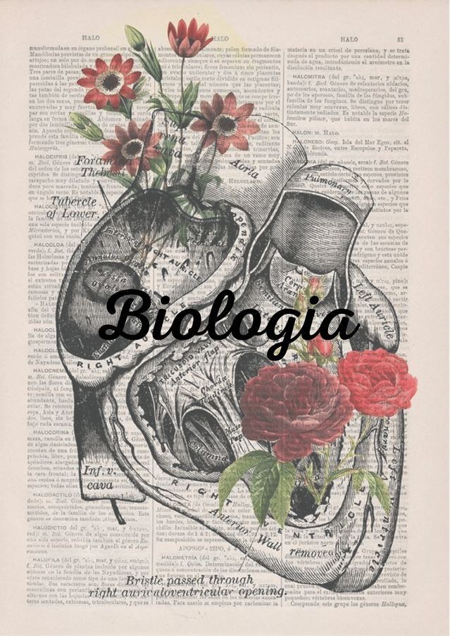 the words bioogia are written on an old book page with flowers in it