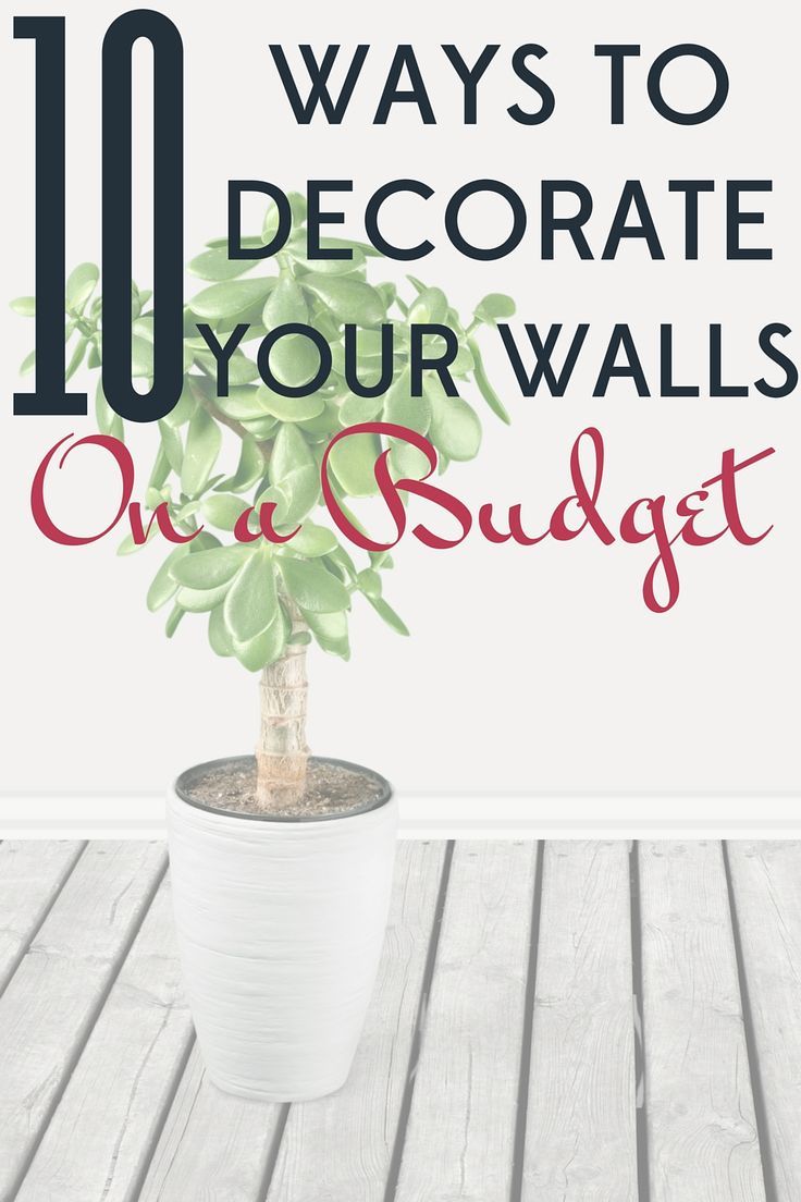 a potted plant with the words 10 ways to decorate your walls on a budget