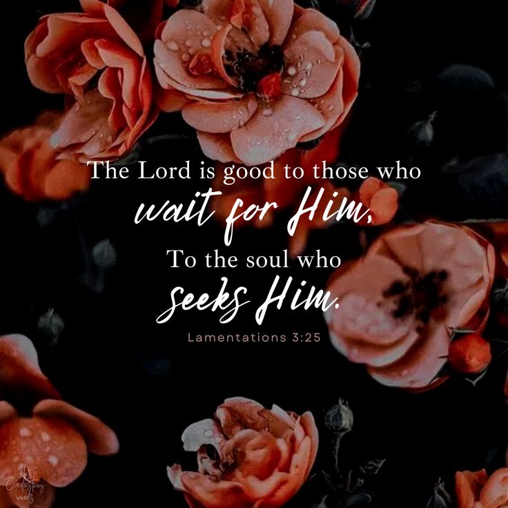 the lord is good to those who wait for him, to the soul who sees him