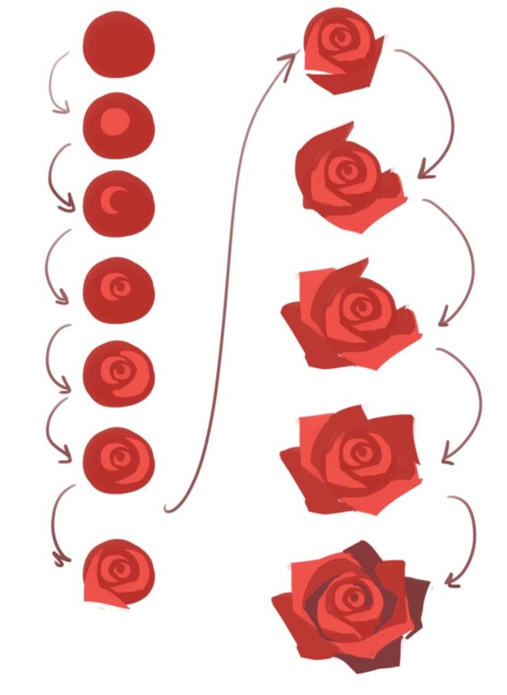 red roses are arranged in the shape of an arrow, with arrows pointing to them