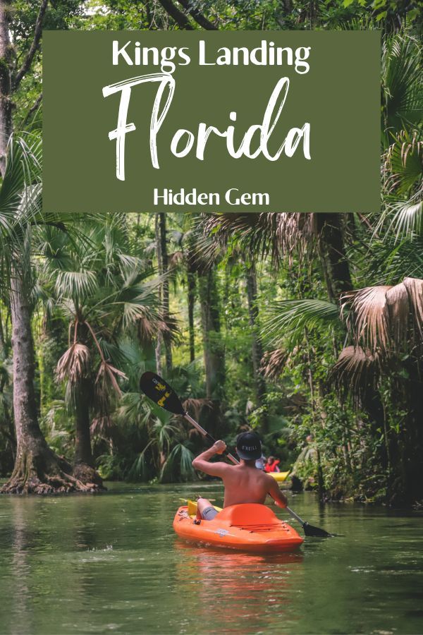 a man in an orange kayak paddling down a river surrounded by palm trees