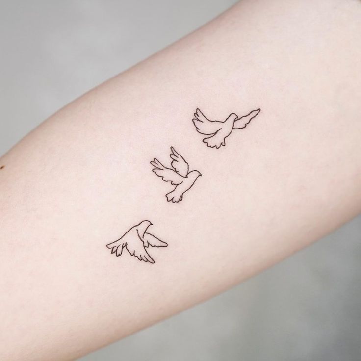 three birds flying in the air on a woman's arm