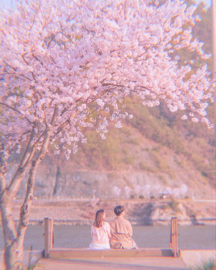 two people sitting on a bench under a tree with pink flowers in the foreground