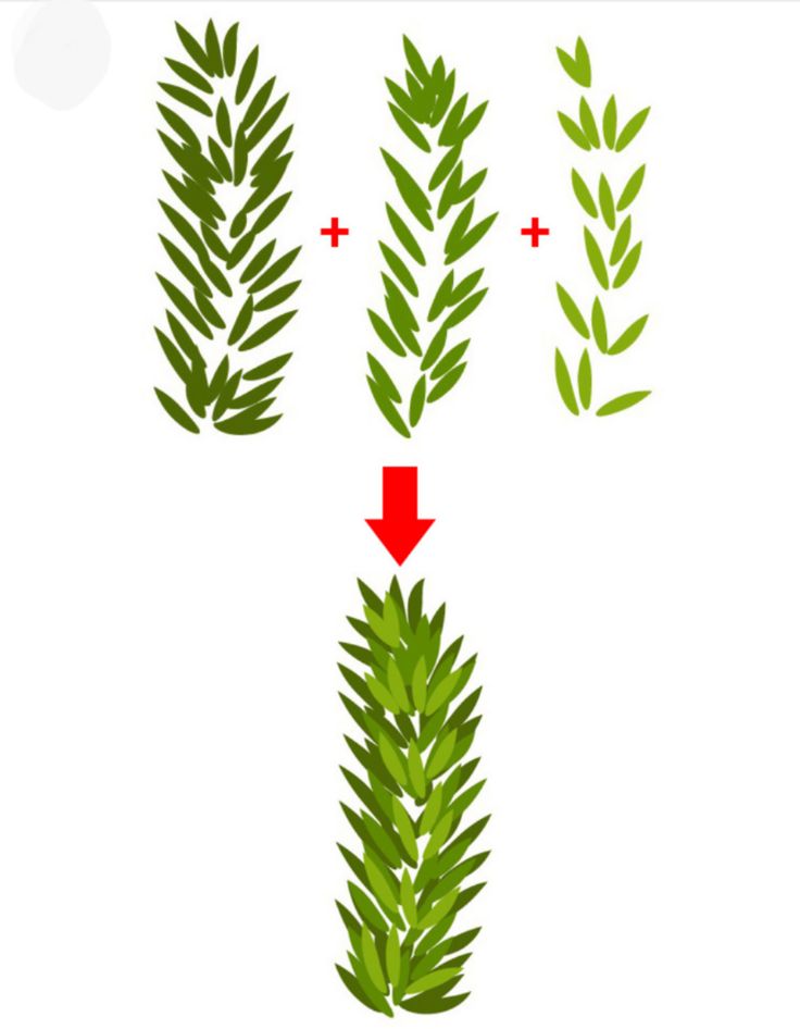 three different types of plants with arrows pointing to the top one and bottom left corner