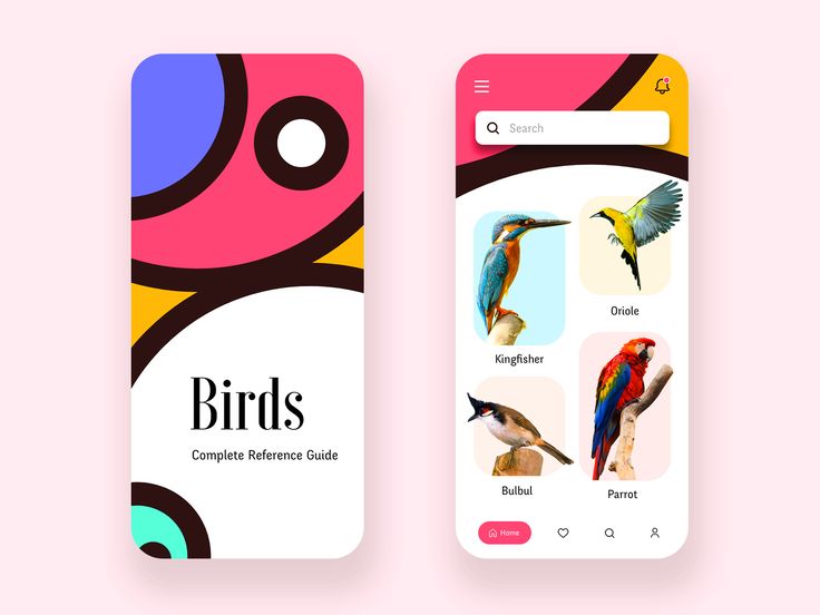 two mobile phone screens with birds on them