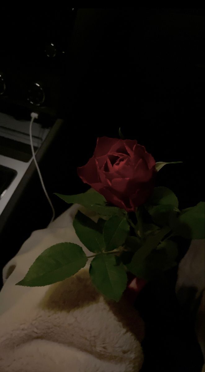 a single red rose sitting on top of a white towel next to an electric stove