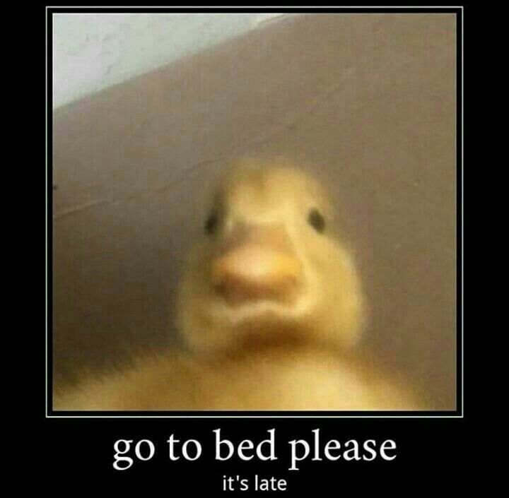 a ducky looking at the camera with a caption that reads, go to bed please it's late