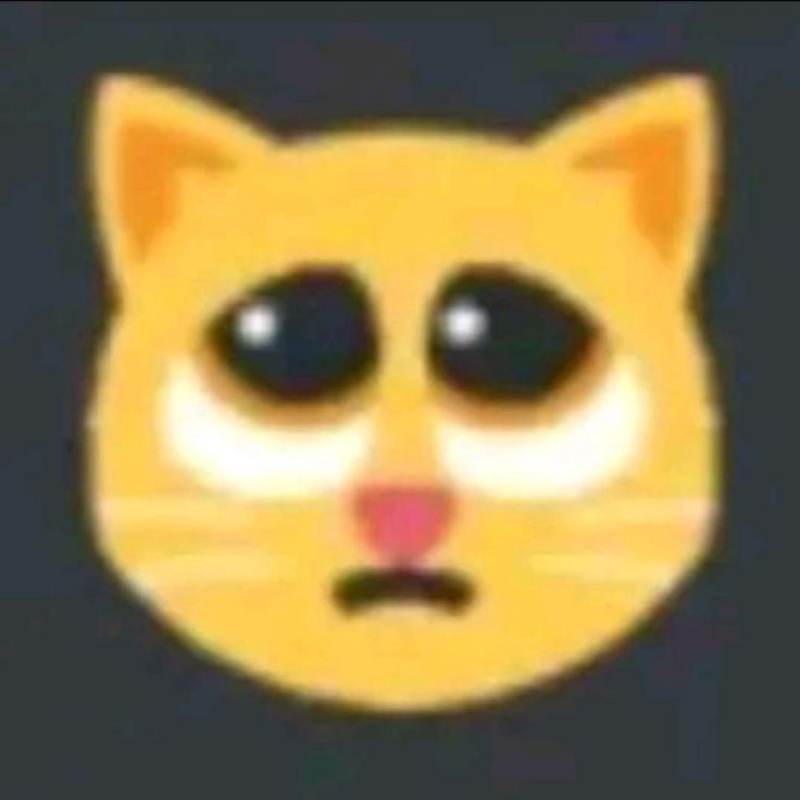 an image of a cat with big eyes and a frown on it's face