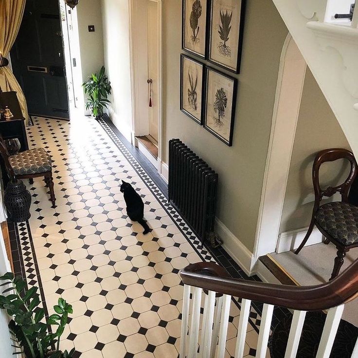 a black cat sitting on the ground in a hallway next to a stair case and potted plant