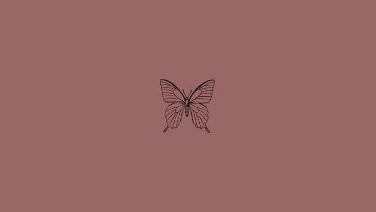 a black and white butterfly on a pink background