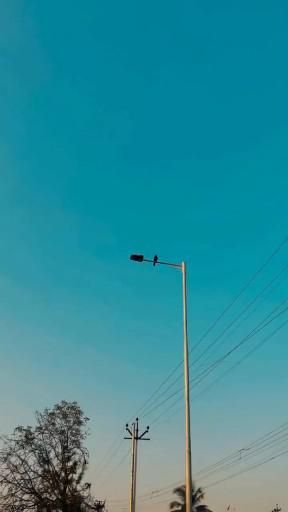 an empty street with power lines and telephone poles in the distance on a sunny day