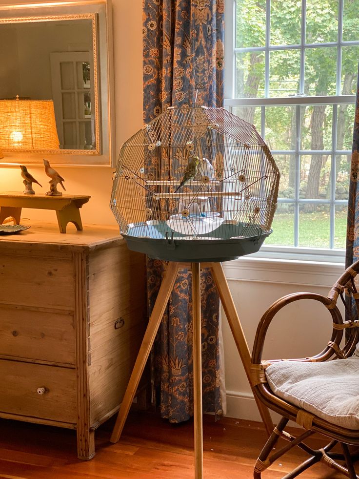 a bird cage sitting on top of a wooden table next to a chair and window