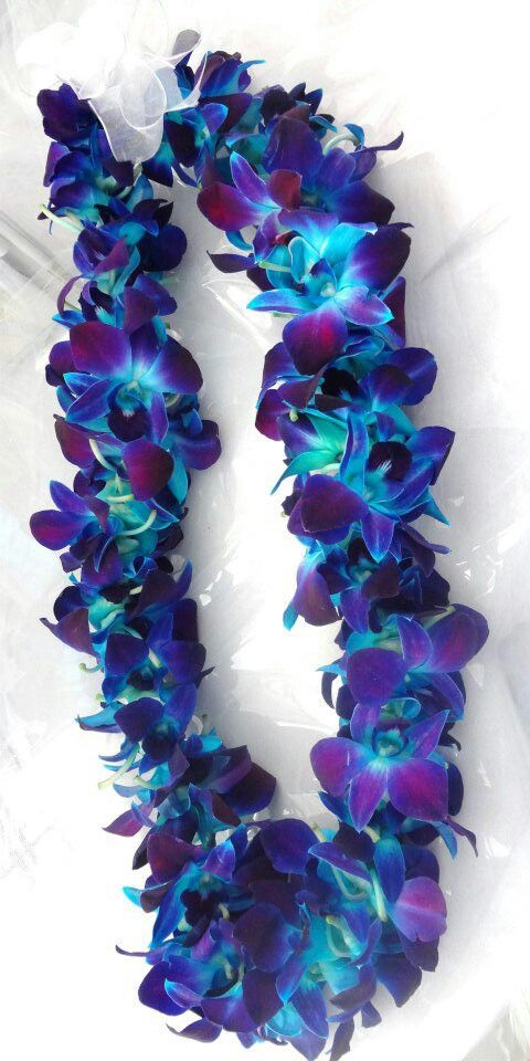 purple and blue flowers are arranged on a white surface