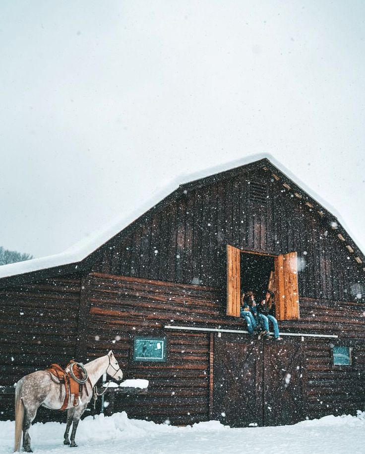 two people are sitting on the balcony of a barn with a horse in the snow