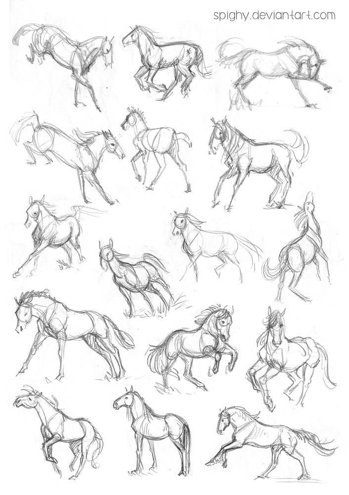 a bunch of horses that are drawn in pencil