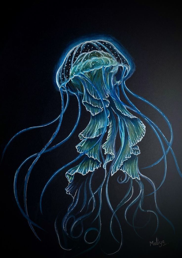 a drawing of a jellyfish on a black background