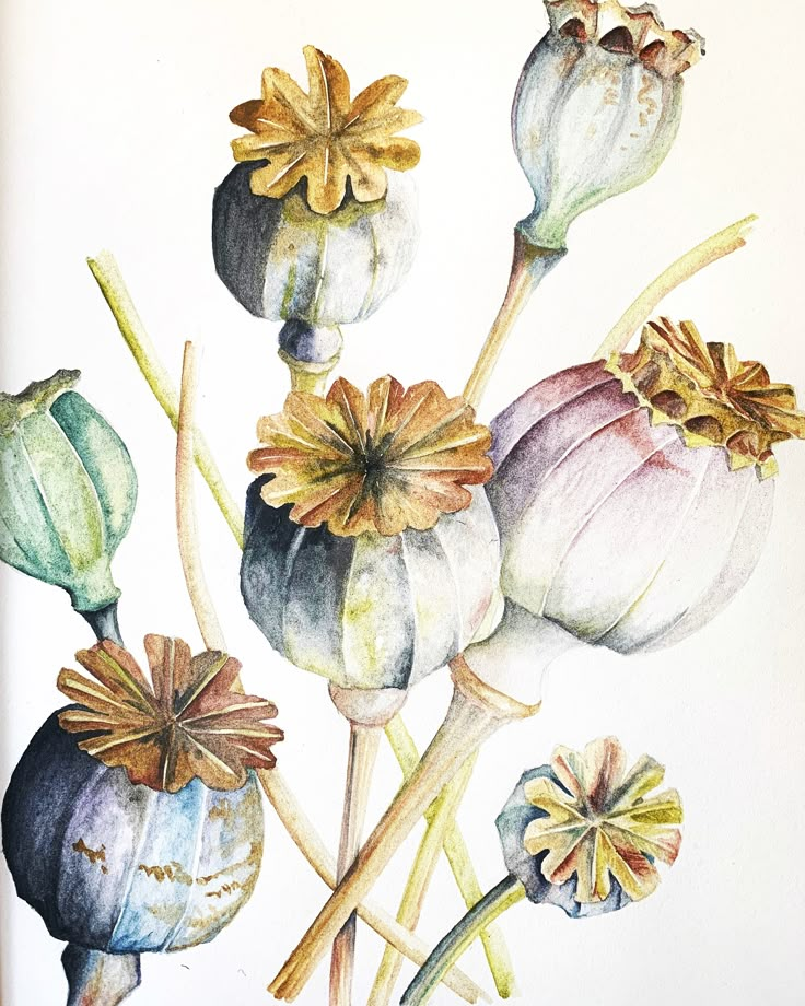 this is a watercolor painting of flowers and buds on a white paper with colored pencils