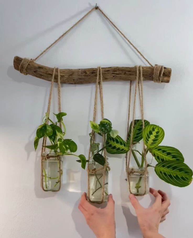 three mason jars filled with plants hanging from a branch on the wall above a hand - held planter