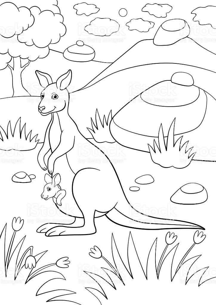 a kangaroo in the wild coloring page