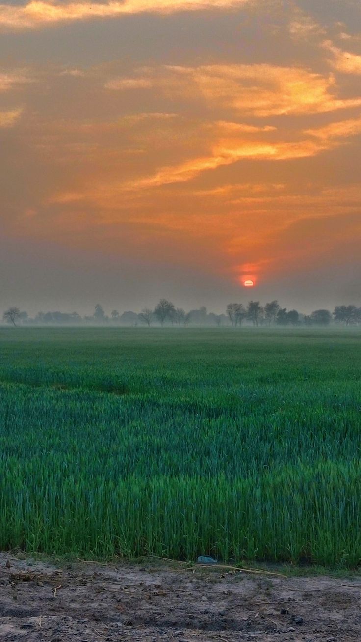 the sun is setting over an open field