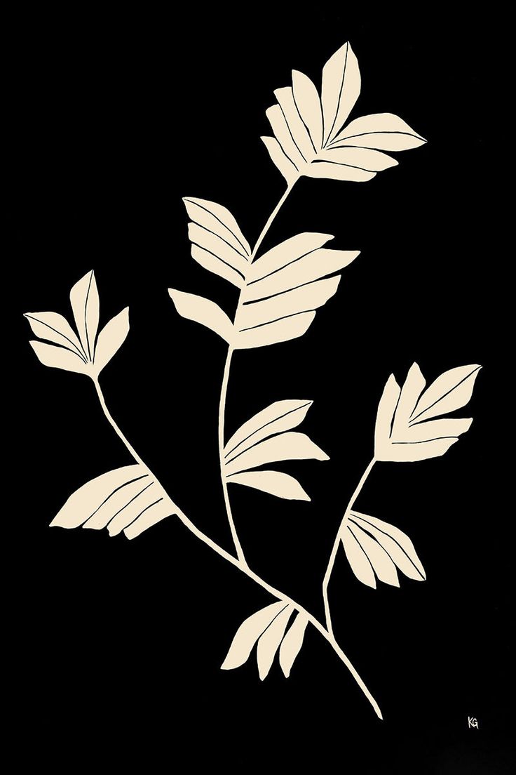 two white leaves on a black background