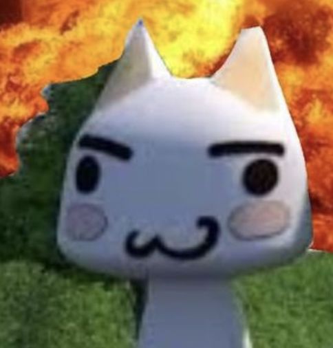 a white cat with a mustache is standing in front of a fire and grass area