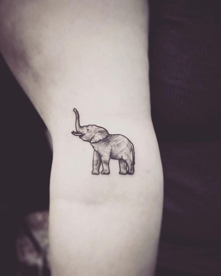 an elephant tattoo on the left inner arm is shown in black and grey ink,