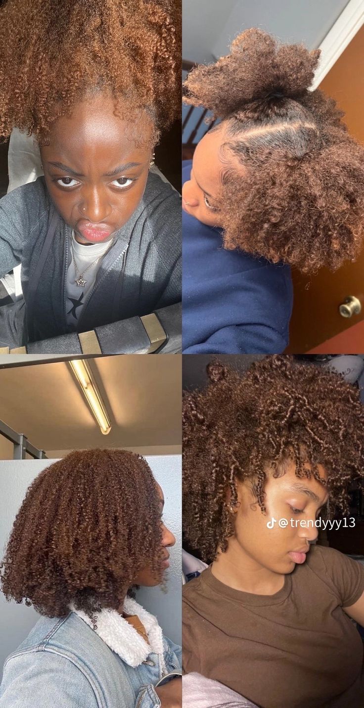 Afro Hair Dye, Cinnamon Brown Hair, Adore Hair Dye, Cinnamon Hair Colors, Diy Hair Wig, Cabello Afro Natural, Dyed Curly Hair, Honey Brown Hair, Brown Hair Dye