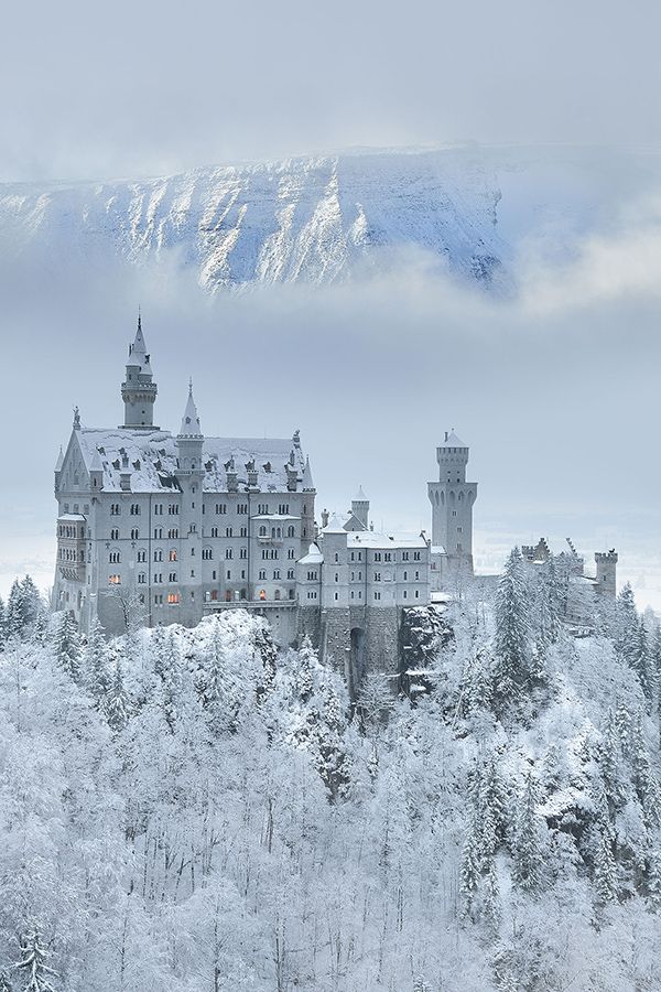 a castle in the middle of a snowy forest