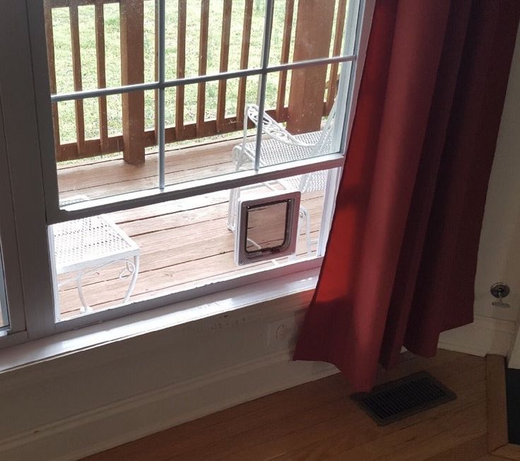 a cat is sitting in the window sill looking out at the yard and deck